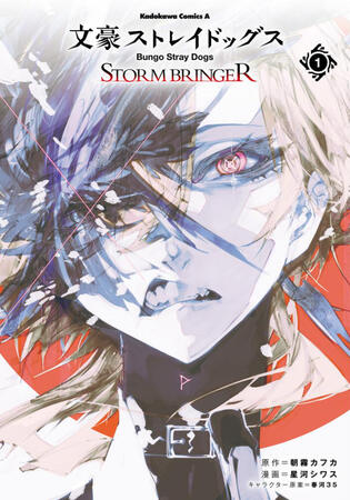 Storm Bringer: decayoffrost